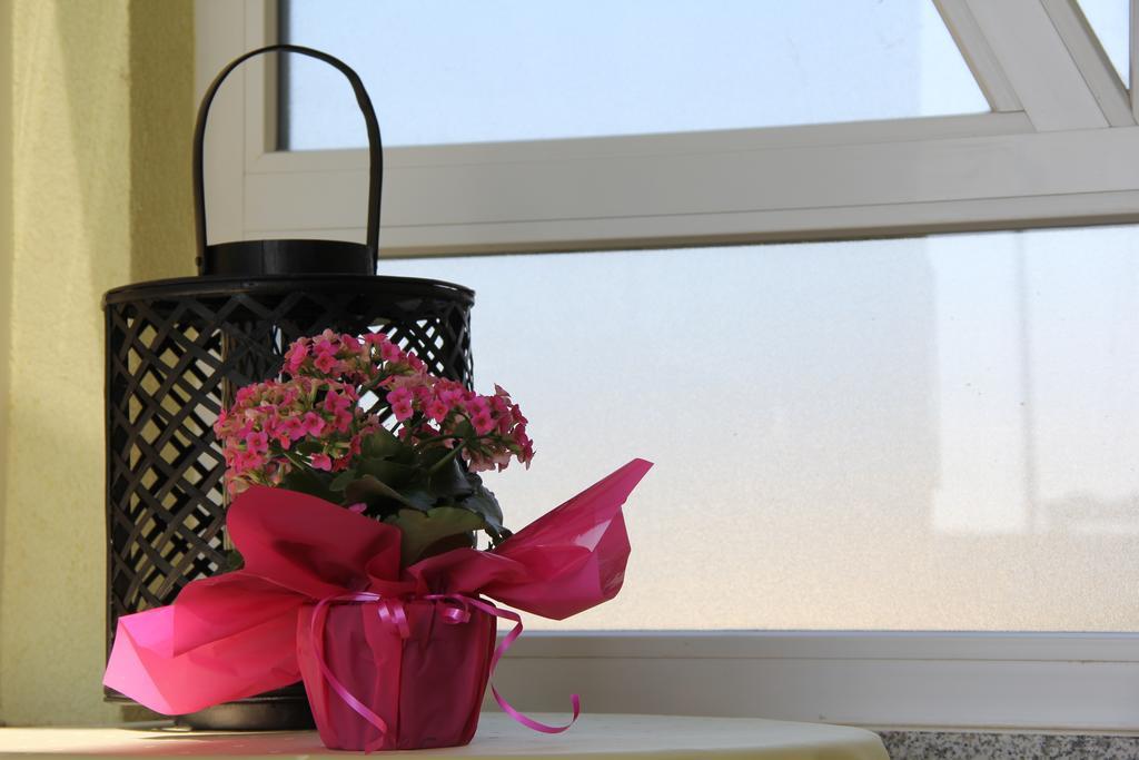 Lili Apartamento Umag